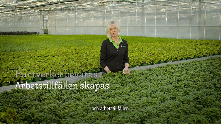 Gröna växter odlade i Sverige 6x9