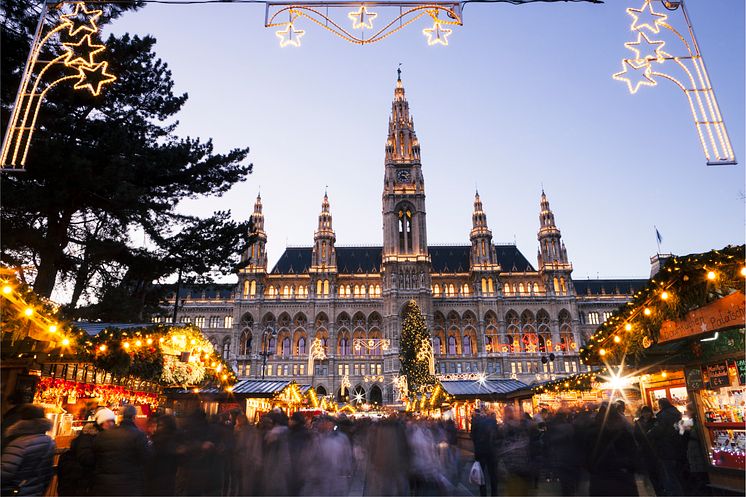 austria-vienna-christmas-market-building -1038815124-full