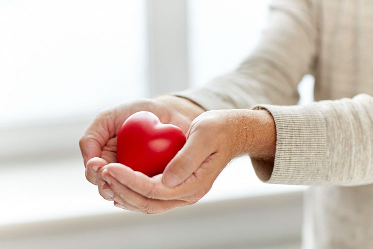 19242745-close-up-of-senior-man-with-red-heart-in-hands