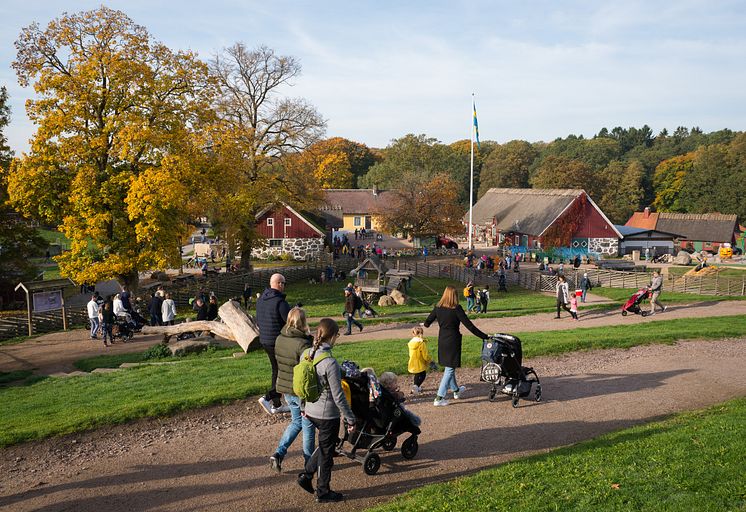 Gården i Skånes Djurpark i höstfärger