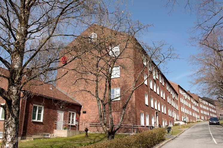 Sogn Studentby