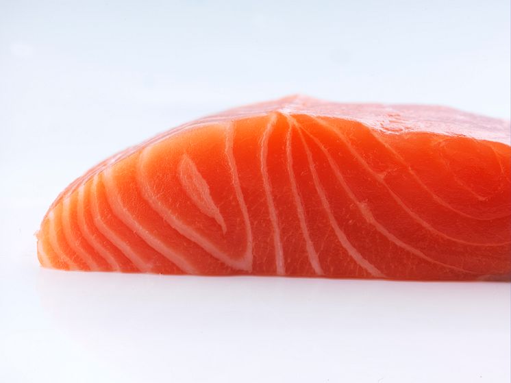 Norwegian salmon fillet