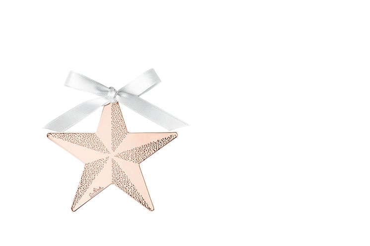 R_Silver_Collection_Christmas_Rose_Gold_Star_8_cm