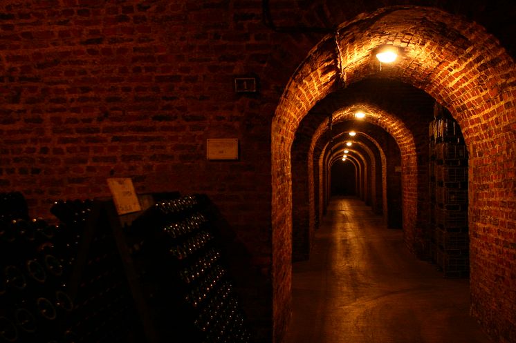 Champagne Bollinger cellar
