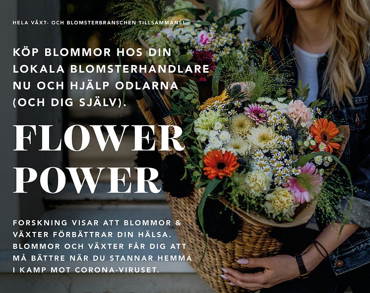 Poster_FlowerPower