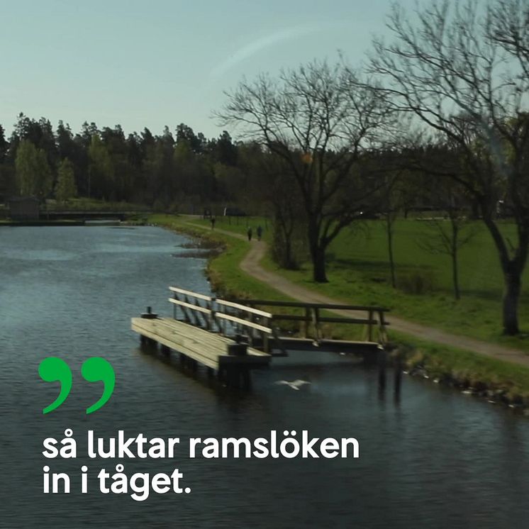 Film från Sveriges vackraste tågresa - Lidköping till Mariestad över Kinnekulle