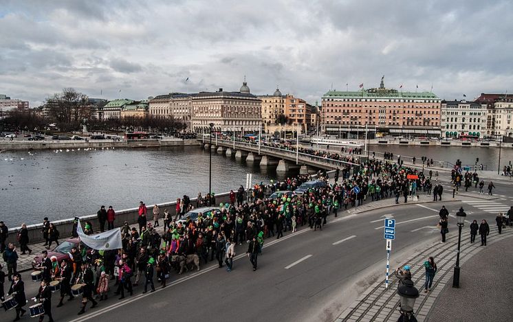 Paraden i Stockholm för St Patricks Day. 