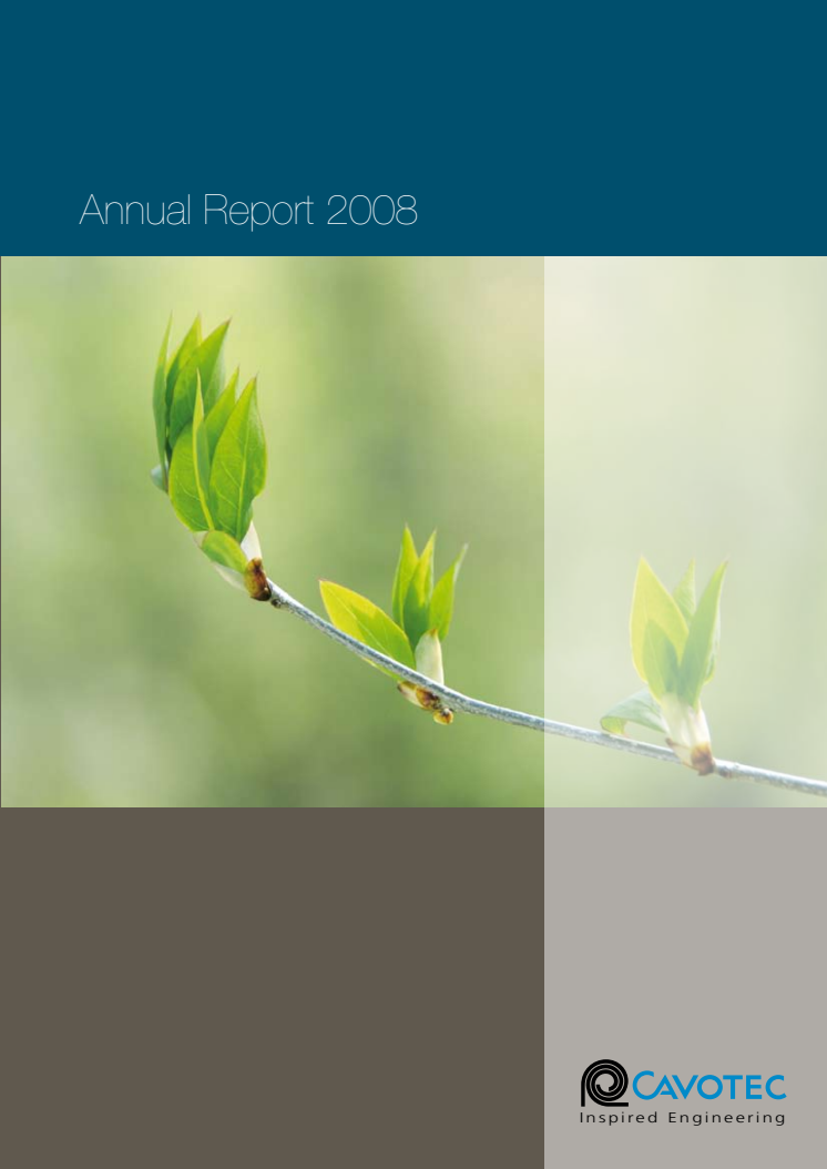 Cavotec MSL - Annual Report 2008