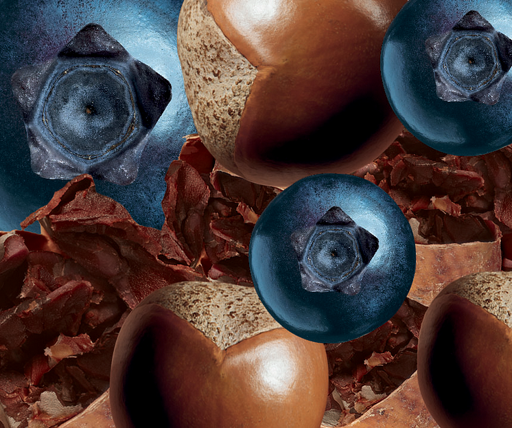 Ingredienskollage blåbär, kakao + shianötter