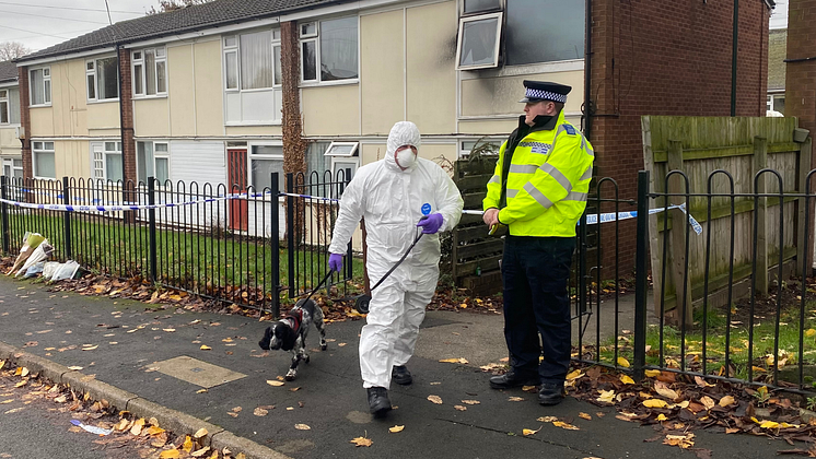 Forensic teams have been gathering evidence at the property