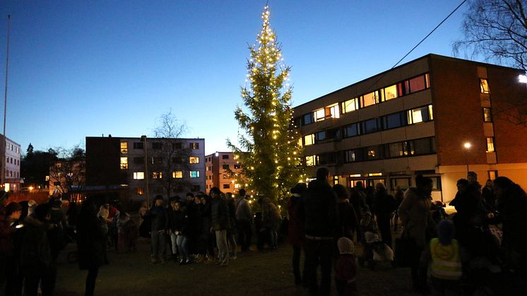 Julegrantenning på Kringsjå Studentby 