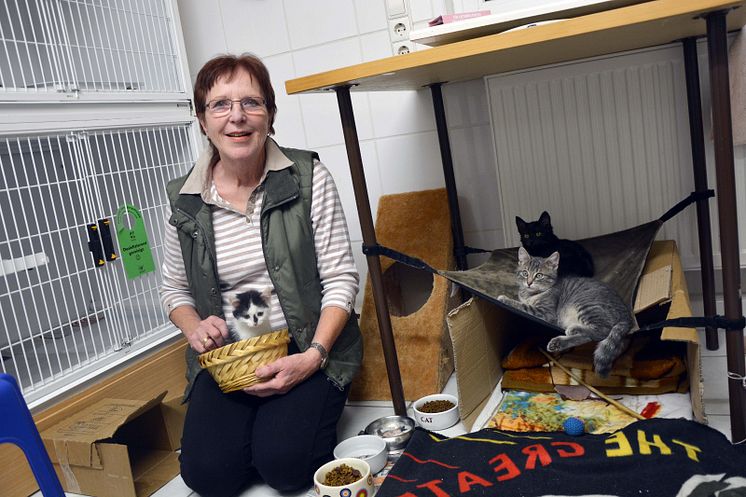 Engagement des Jahres; Wera Schmitz von der Katzenhilfe Karlsruhe