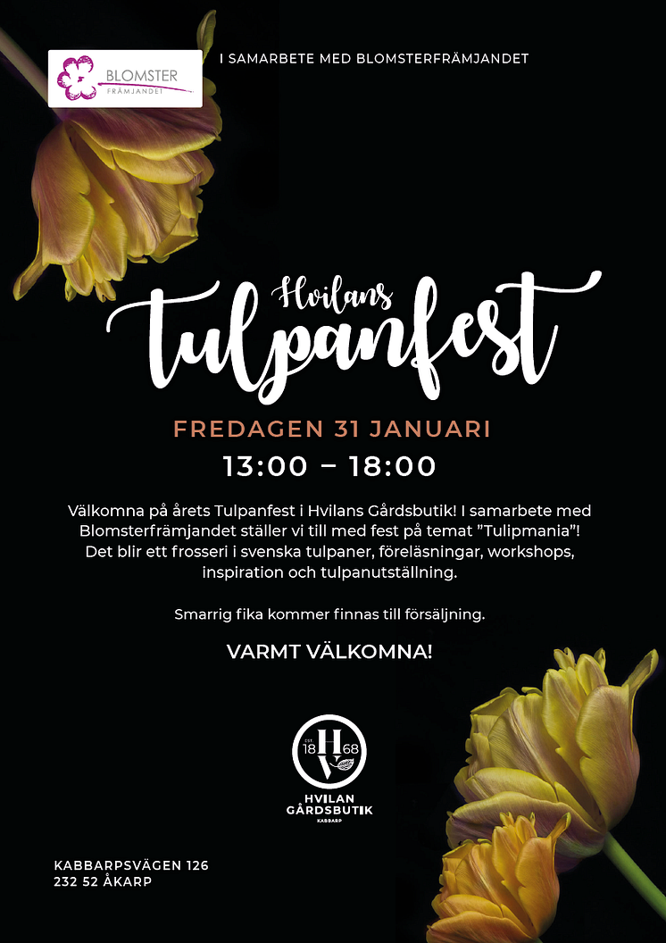Hvilans_tulpanfest