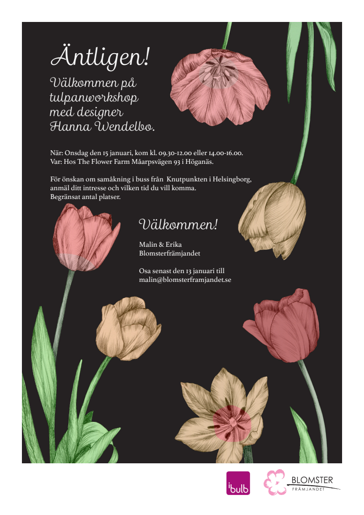 Välkommen på tulpanworkshop med Blomsterfrämjandet & designer Hanna Wendelbo