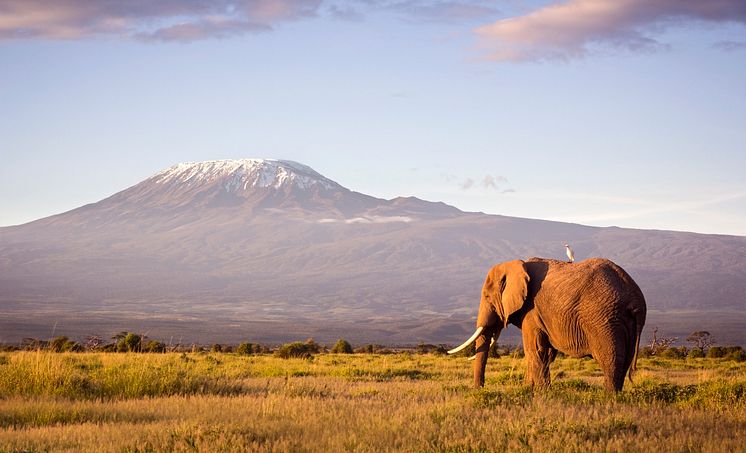 Eurowings Discover Kilimandscharo