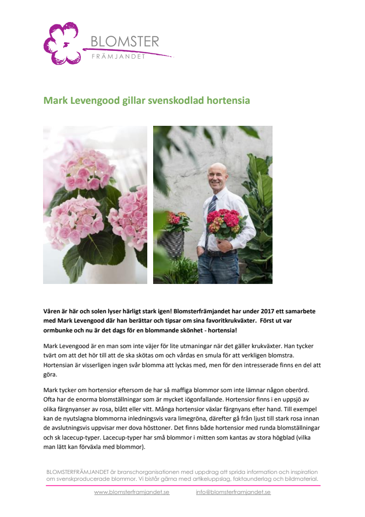 ​Mark Levengood gillar svenskodlad hortensia