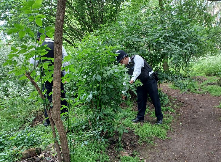 Bethnal Green weapons sweep