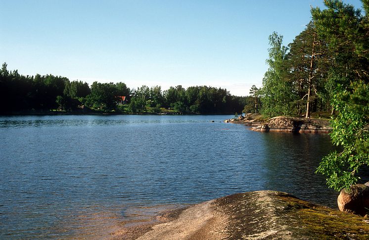 HaV ger 2,3 miljoner till fiskprojekt i sjön Sommen i Östergötland