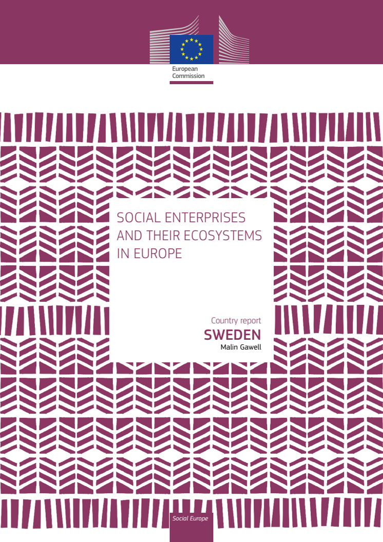 Social enterprises and their ecosystems in Europe. Updated country report Sweden