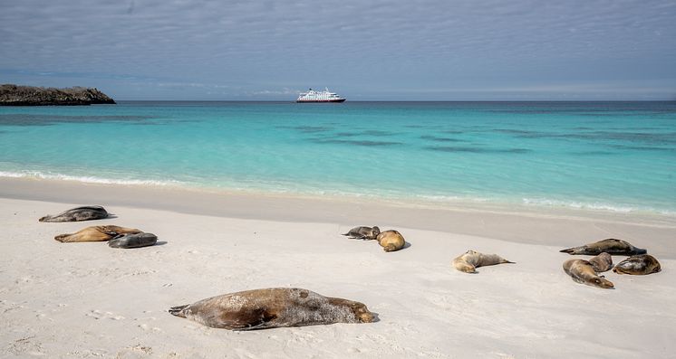 Galapagos-Española-Island-Gardner-Bay-HGR-152600- Photo_John_Chardine