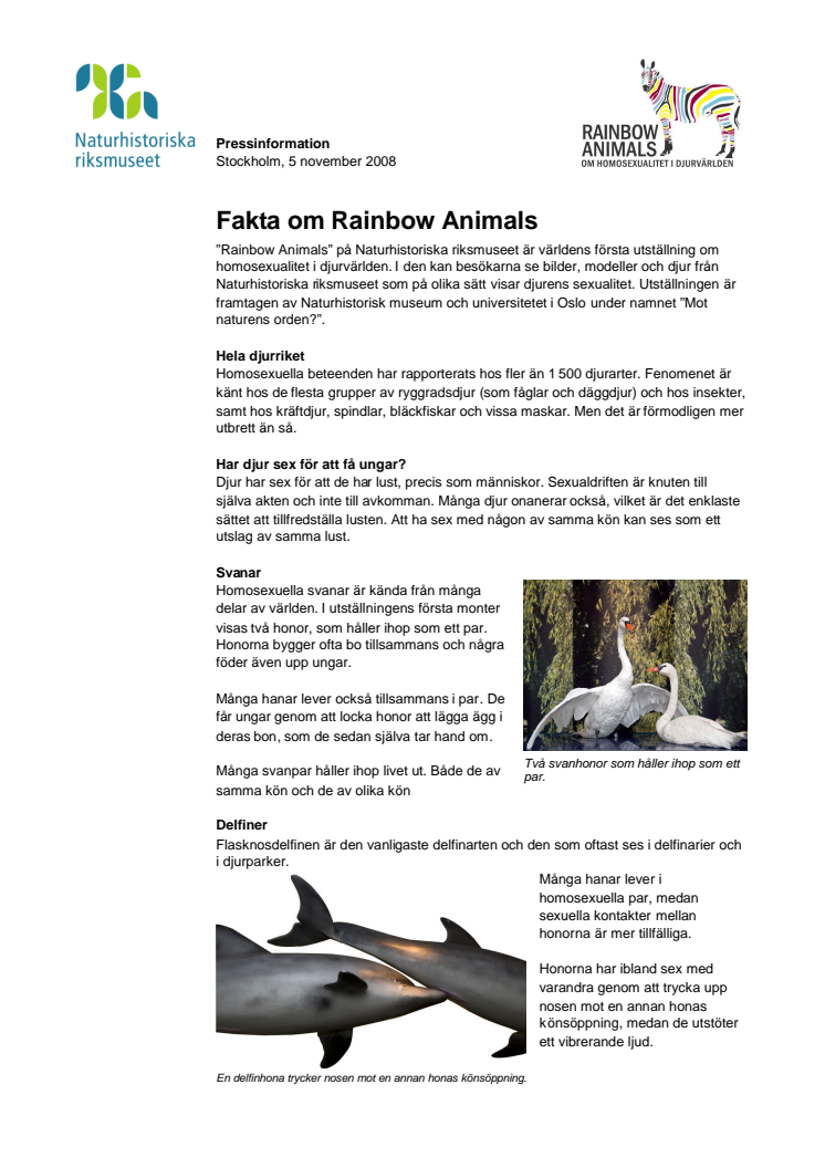 Fakta om Rainbow Animals