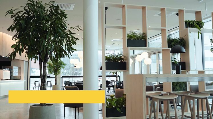 Axis + Landén Krantz arkitekter = Sveriges snyggaste kontor 