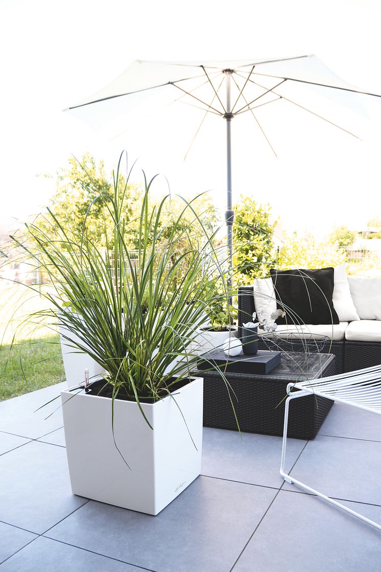 Eleganter Schwarz-Weiß-Look für den Outdoor-Bereich