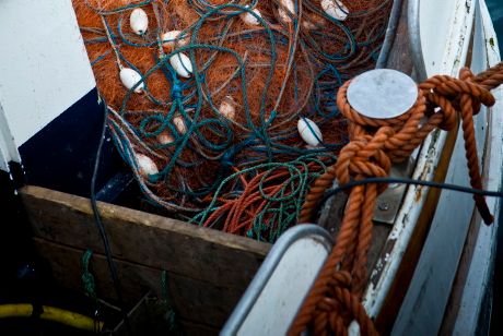 2013 års fiskekvoter för Östersjön nu klara