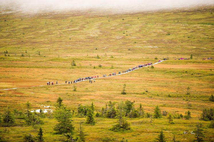 Populær løpshelg i Trysilfjellet