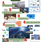"A plasticized world" - Bilateral marine litter project presented in Moscow