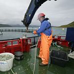 New report: climate effects on Norwegian ocean-industries