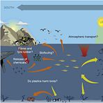 Knowledge gaps on trends in Arctic plastic pollution