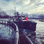 Feltbåten MS Louise - film fra fjorden