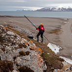 Film fra feltarbeid polarmåke, Kongsfjorden Svalbard