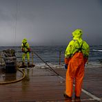 Film fra Akvaplan-niva 2021 offshore tokt miljøovervåking petroleum