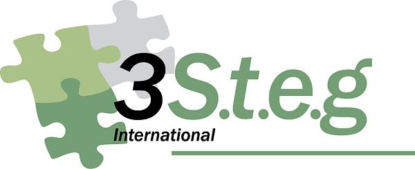 3S.t.e.g. International
