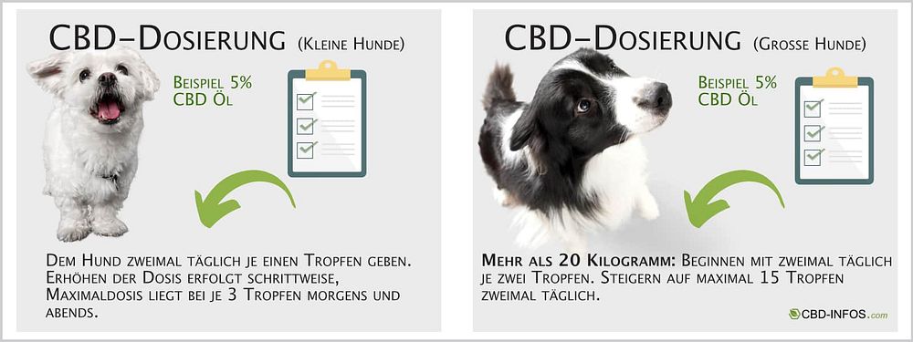 CBD Öl Hund Dosierung