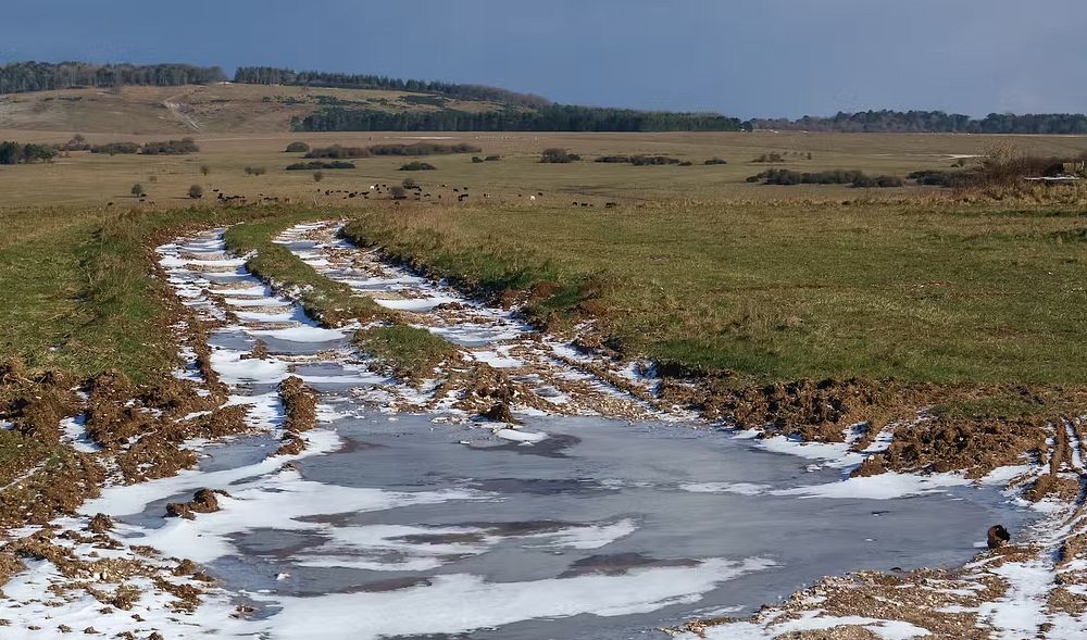 Frozen puddles in tank tracks on Salisbury Plain, Wiltshire. Martin Hibberd/Shutterstock