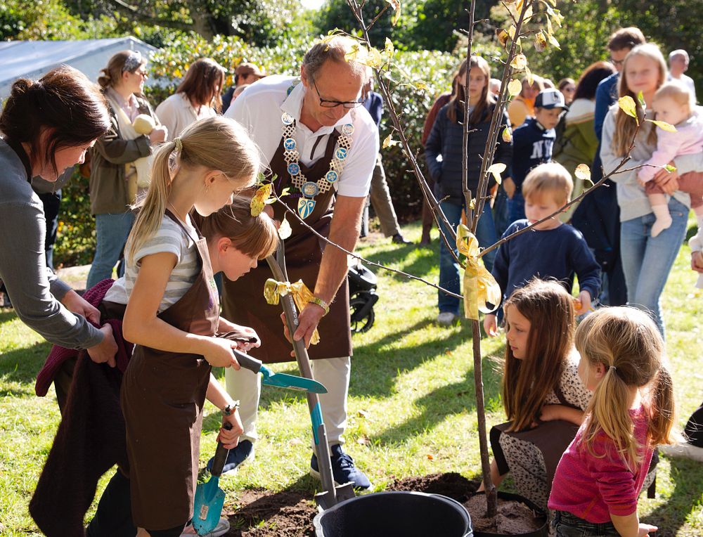 Steinar Solum planter plommetrær sammen med barna