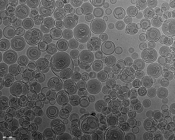 Abb. 5: Cryo Bilder von Liposomen mit Modellpeptid aus unserem Verfahren