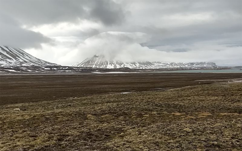 Tundra på Svalbard