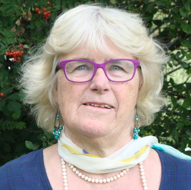Karin Fridell Anter