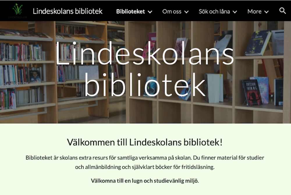 Bemannade bibliotek på alla skolor: Önskvärt - men inte prioriterat i Lindesberg 3