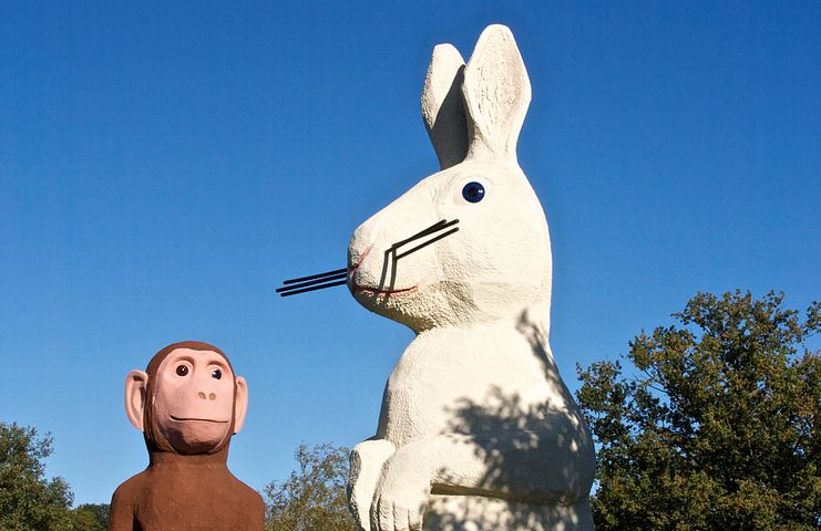 Apan & Kaninen