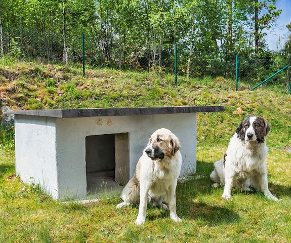 Bygg et isolert hundehus i betong 1