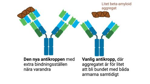 Litet beta-amyloid-aggregat