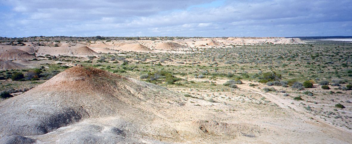 Fossil outcrops in central Australia