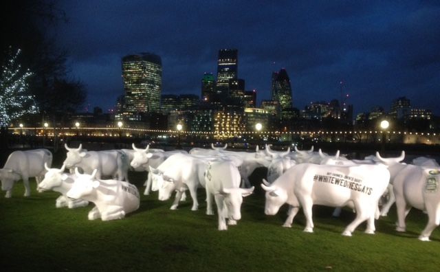 ​Have you herd? –Dairy Cows Hit the Capital