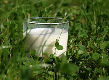 Arla Foods amba confirms hold for July milk price